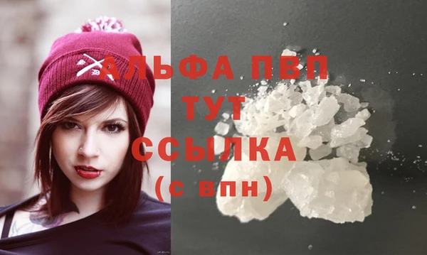 крисы Алзамай