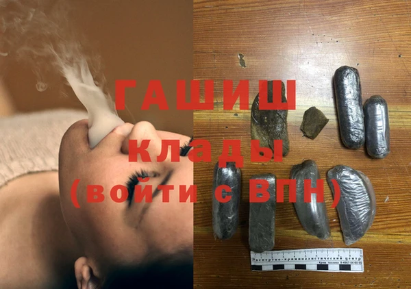 крисы Алзамай