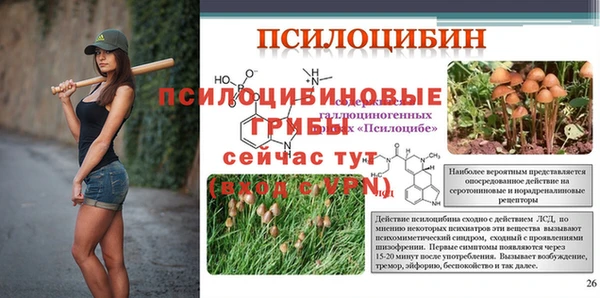 крисы Алзамай