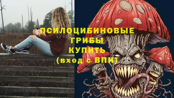 spice Мегион