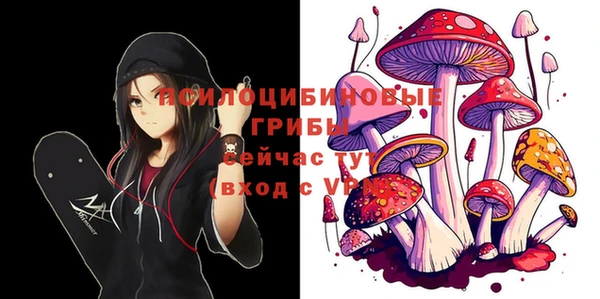 spice Мегион